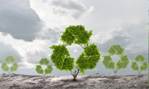 Greenwashing Article Milpark Education
